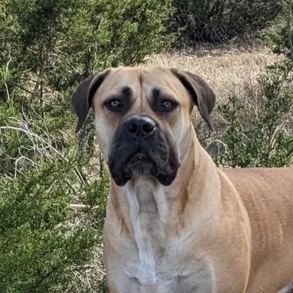 Meet your Posher, Tina - Picture 1 of 1